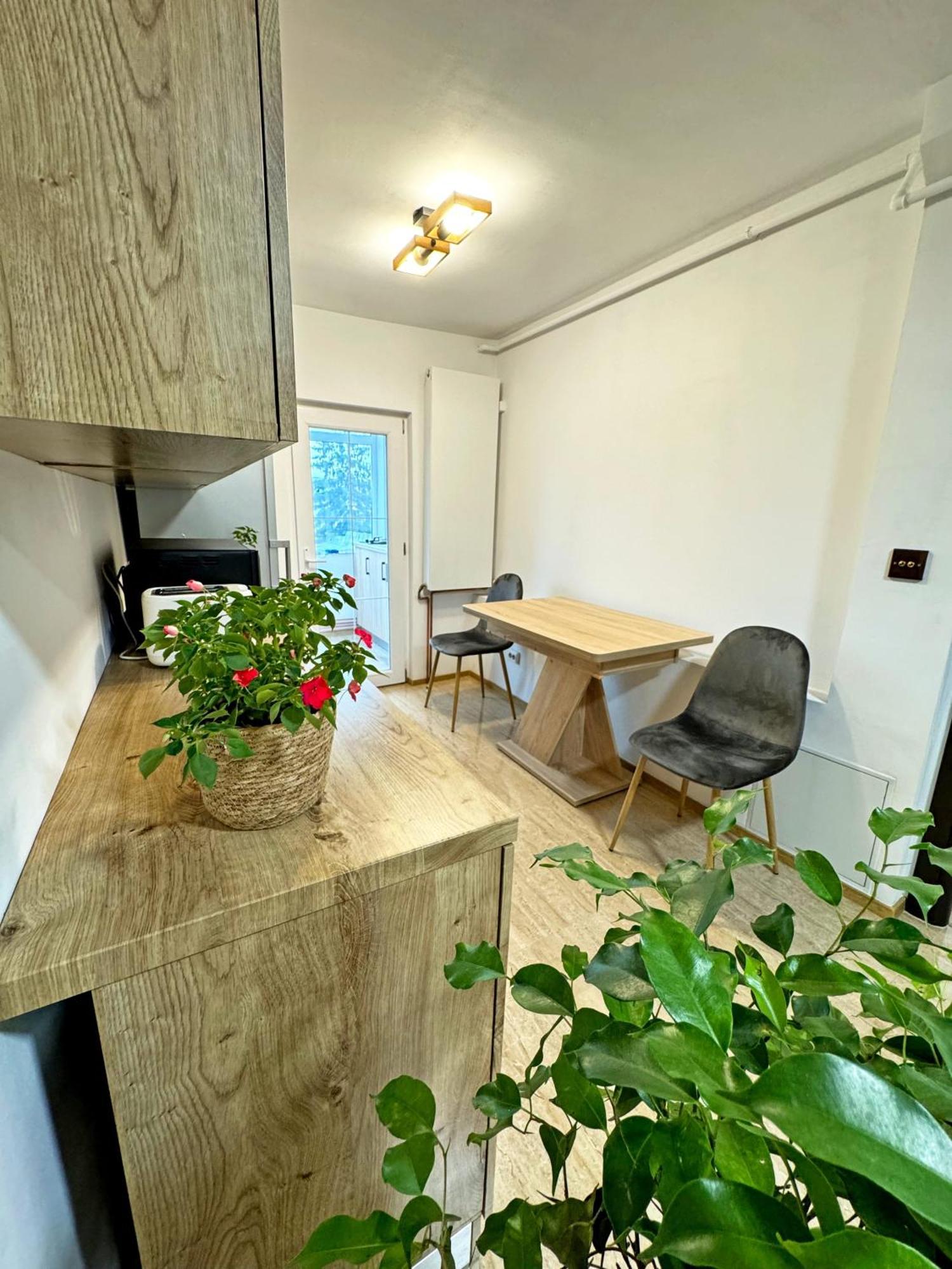 Ultracentral Apartment Targu Jiu Exterior photo